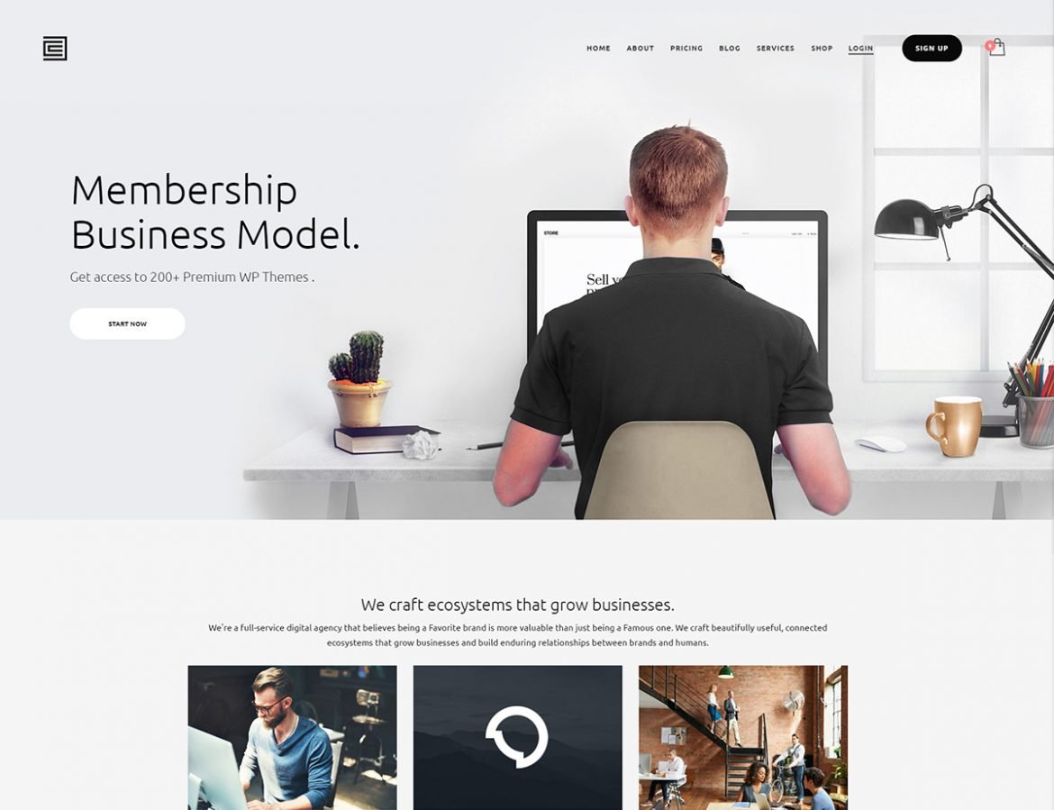 Membership Subscription WordPress Theme - Kallyas