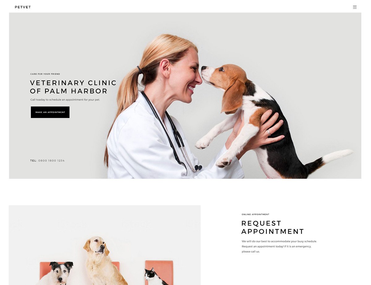 Kallyas Veterinary Clinic WordPress Theme - Hogash