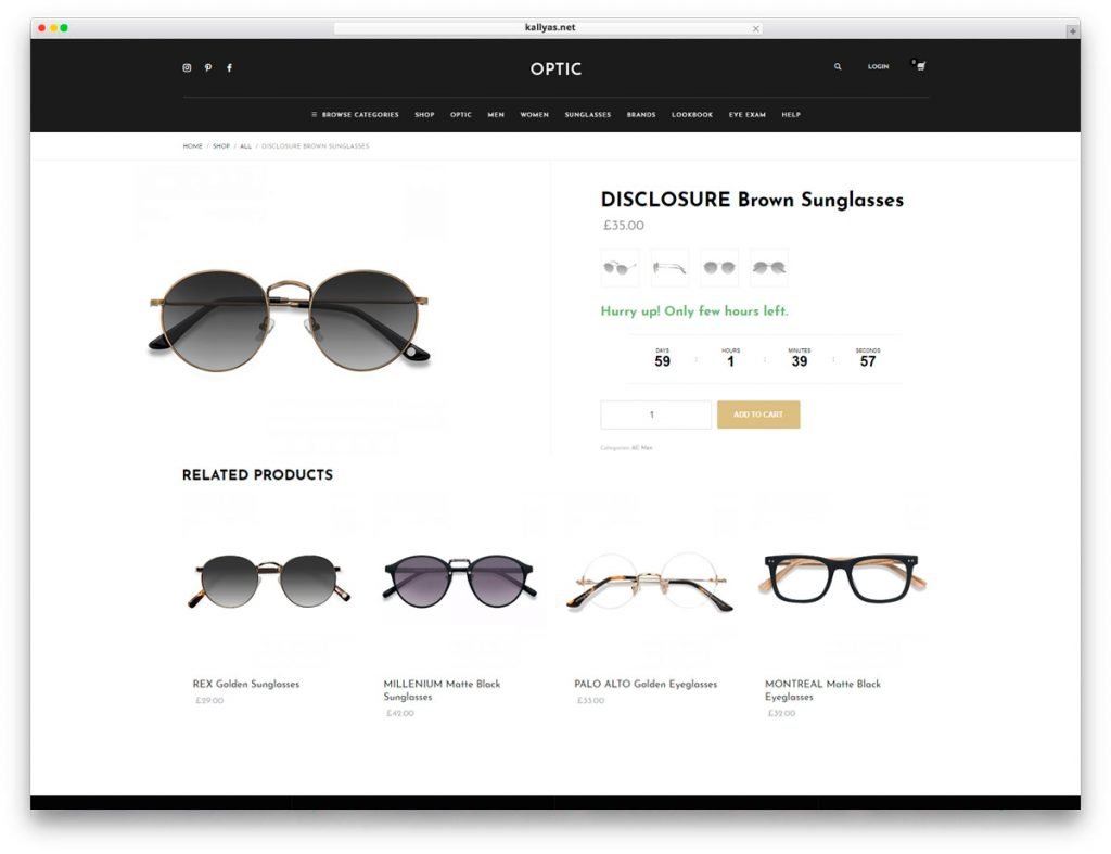 Glasses Store WordPress Theme - Product page with Countdown Timer feature