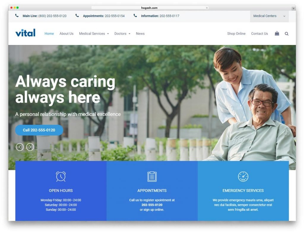 Health Medical Wellness WordPress Theme