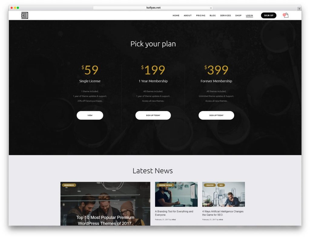 Membership WordPress Theme - Kallyas