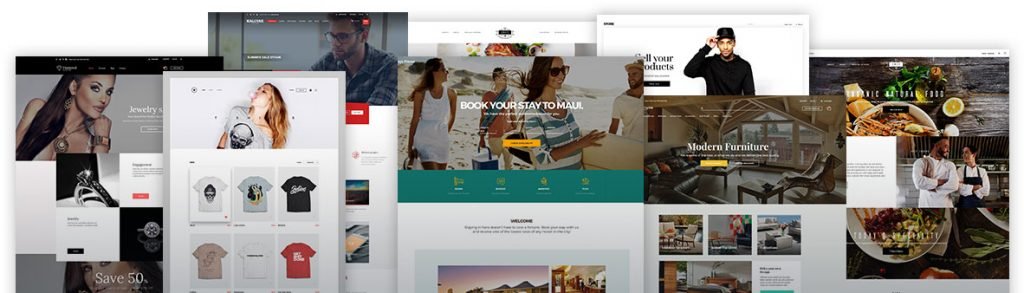 Kallyas WordPress theme access