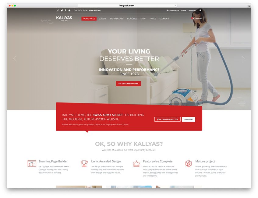 Dry Cleaning & Laundry Business Website WordPress Theme