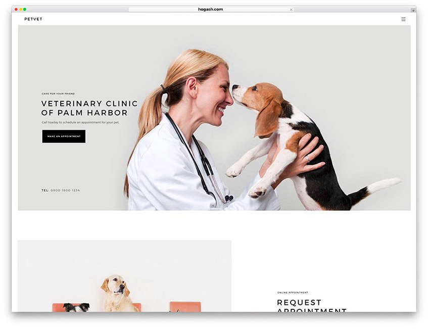 Pet Grooming Business Website WordPress Theme